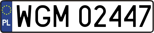 WGM02447