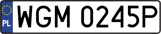 WGM0245P