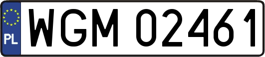 WGM02461