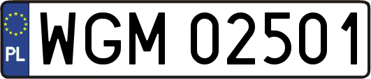 WGM02501
