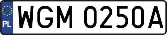 WGM0250A