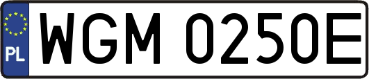 WGM0250E