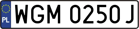 WGM0250J