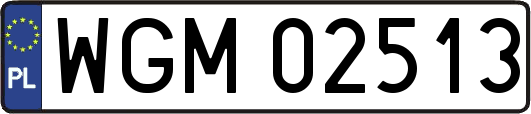 WGM02513