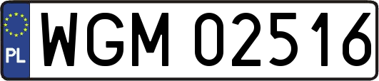 WGM02516