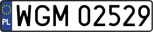 WGM02529
