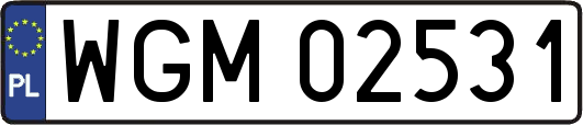 WGM02531