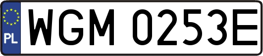 WGM0253E