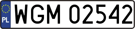 WGM02542