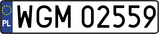 WGM02559