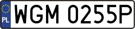WGM0255P
