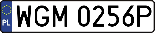 WGM0256P