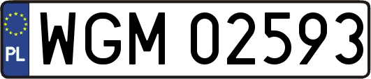 WGM02593
