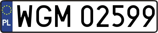 WGM02599