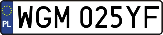 WGM025YF