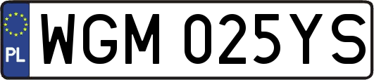 WGM025YS