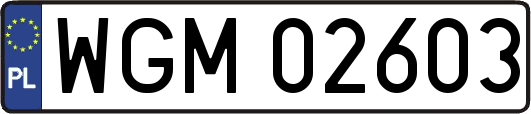 WGM02603
