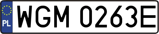 WGM0263E