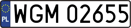 WGM02655