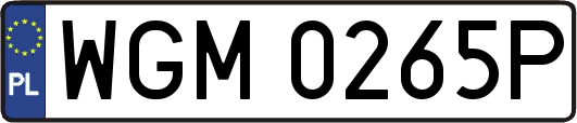 WGM0265P