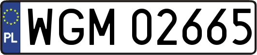 WGM02665