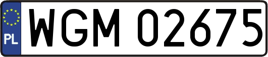 WGM02675