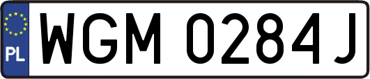 WGM0284J