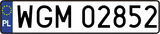 WGM02852