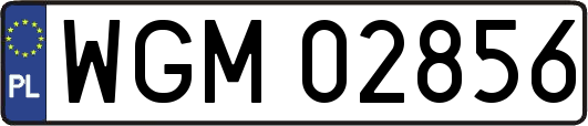 WGM02856
