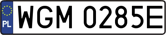 WGM0285E