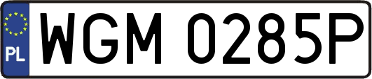 WGM0285P