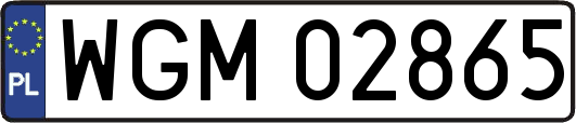 WGM02865