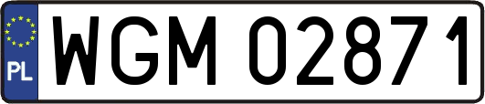 WGM02871