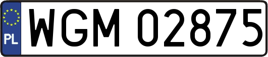 WGM02875