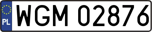 WGM02876