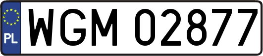 WGM02877