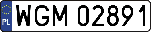 WGM02891