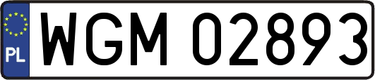 WGM02893