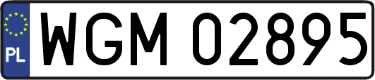 WGM02895