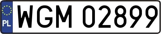 WGM02899