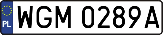 WGM0289A