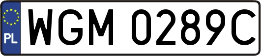 WGM0289C