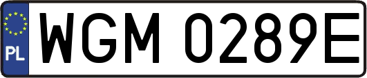 WGM0289E