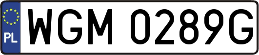 WGM0289G