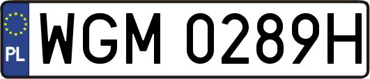 WGM0289H