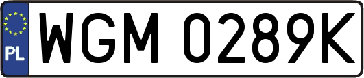 WGM0289K
