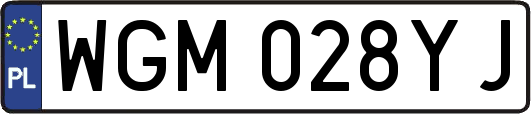 WGM028YJ