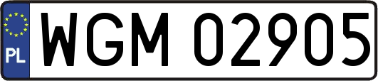 WGM02905