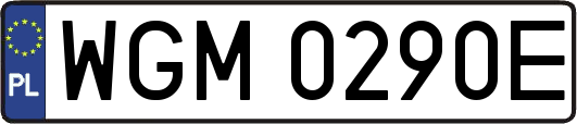 WGM0290E