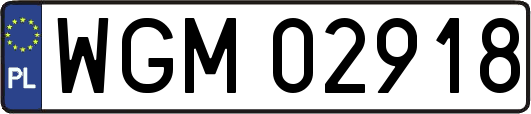 WGM02918